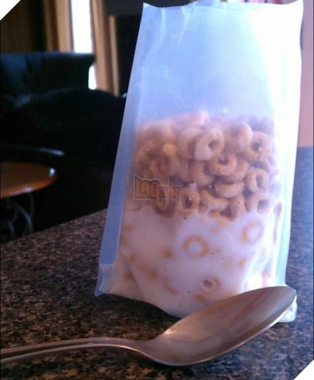 16 khoảnh khắc làm biếng không thể tin nổi của những kẻ lười - Ảnh 9.