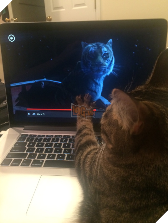 Đây là thái độ của các chị em khi 