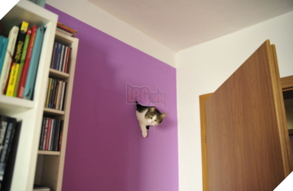 Chơi trốn tìm phong cách... phá nhà. (Ảnh: BuzzFeed)