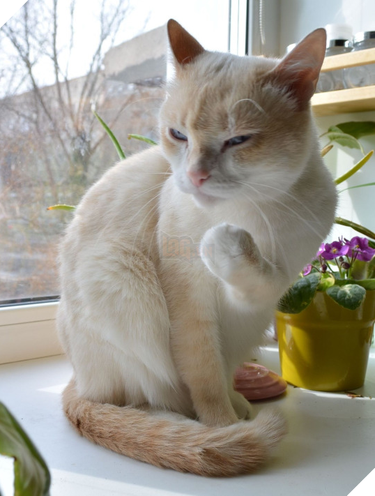 Sen mà lèm bèm thêm một câu nào nữa là boss đấm phát chết luôn. (Ảnh: BuzzFeed)