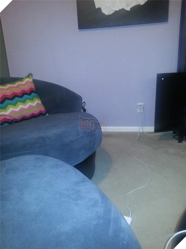 Những hành động chứng tỏ husky sinh ra đã ngớ ngẩn 24