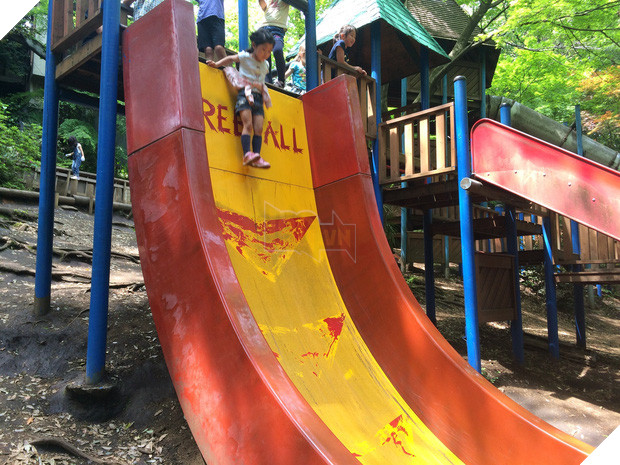 14 điều kỳ quặc mà bạn chỉ có thể tìm thấy ở Nhật Bản - Ảnh 13.