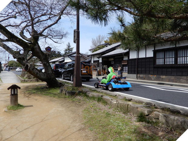 14 điều kỳ quặc mà bạn chỉ có thể tìm thấy ở Nhật Bản - Ảnh 9.