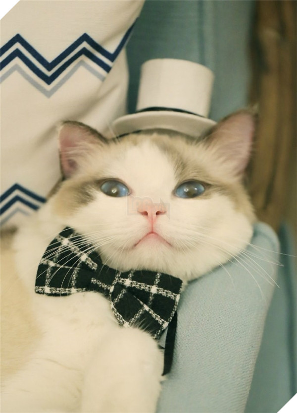 Đấy, mọi người xem Ghost trong trang phục đại boss có 