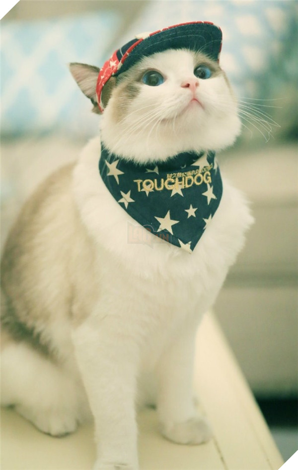 Cả trang phục hip hop thế này cũng không làm khó được em đâu nha.