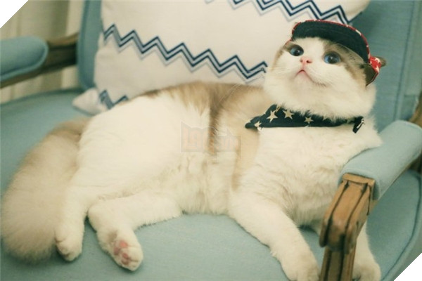 Mọi người thấy em có 