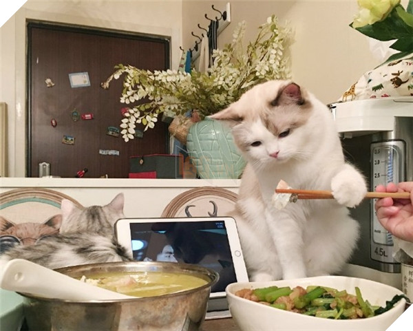 Ngoài hóa trang bé Ghost còn rất thích ăn.