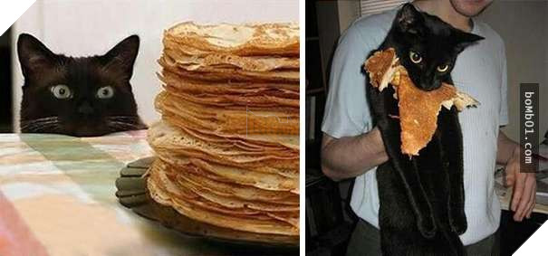 Thất vọng với 10 trường hợp ‘nuôi ong tay áo’ trong nhà, #2 khiến khổ chủ phải đi viện 3