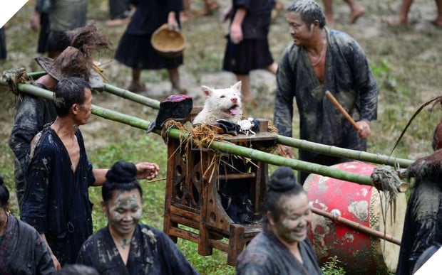 Trung Quốc: Các chú chó được mặc quần áo đẹp, đeo trang sức và tôn vinh như vị thần - Ảnh 1.