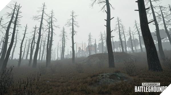 PlayerUnknown's Battlegrounds bổ sung vũ khí mới và hiệu ứng sương mù 2