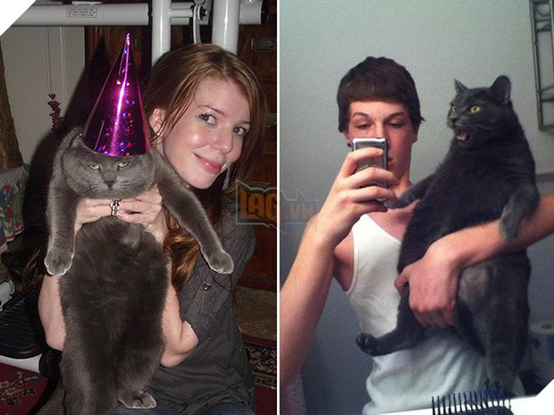 16 chú mèo ghét cay ghét đắng việc selfie cùng chủ nhân - Ảnh 9.