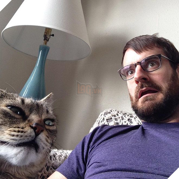 16 chú mèo ghét cay ghét đắng việc selfie cùng chủ nhân - Ảnh 11.
