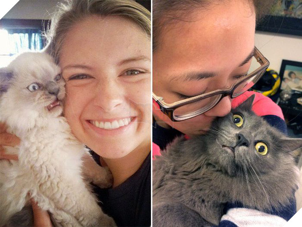 16 chú mèo ghét cay ghét đắng việc selfie cùng chủ nhân - Ảnh 19.