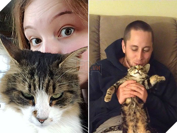 16 chú mèo ghét cay ghét đắng việc selfie cùng chủ nhân - Ảnh 15.