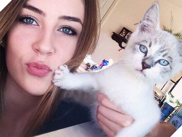 16 chú mèo ghét cay ghét đắng việc selfie cùng chủ nhân - Ảnh 27.