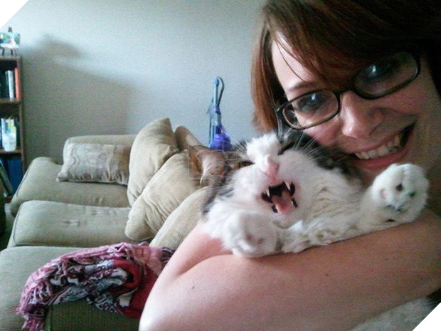 16 chú mèo ghét cay ghét đắng việc selfie cùng chủ nhân - Ảnh 29.