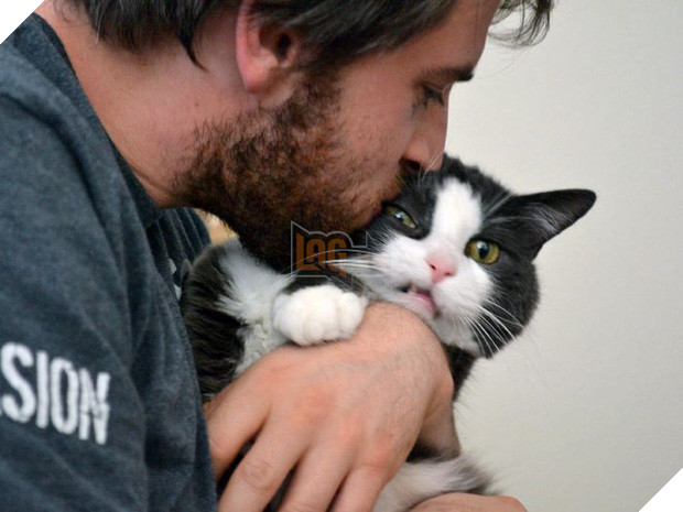 16 chú mèo ghét cay ghét đắng việc selfie cùng chủ nhân - Ảnh 21.