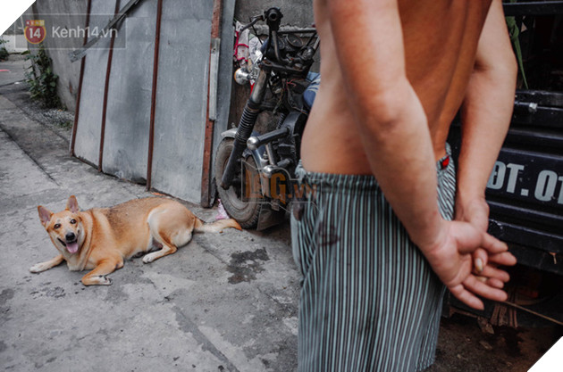 Gặp Gấu - ch&#250; ch&#243; c&#225; t&#237;nh nhất S&#224;i G&#242;n: Chủ mua g&#236; cũng xung phong x&#225;ch hộ, kh&#244;ng cho theo th&#236; hờn m&#225;t bỏ ăn! - Ảnh 8.
