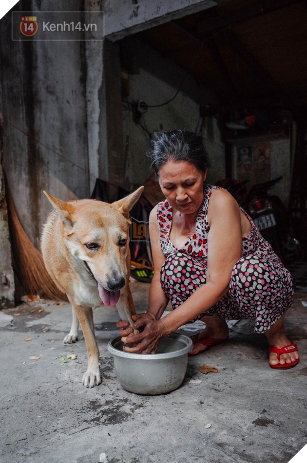 Gặp Gấu - ch&#250; ch&#243; c&#225; t&#237;nh nhất S&#224;i G&#242;n: Chủ mua g&#236; cũng xung phong x&#225;ch hộ, kh&#244;ng cho theo th&#236; hờn m&#225;t bỏ ăn! - Ảnh 7.