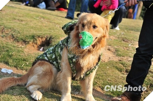 khong-nhin-duoc-cuoi-voi-nhung-kieu-ro-mom-cho-co-1-0-2-9