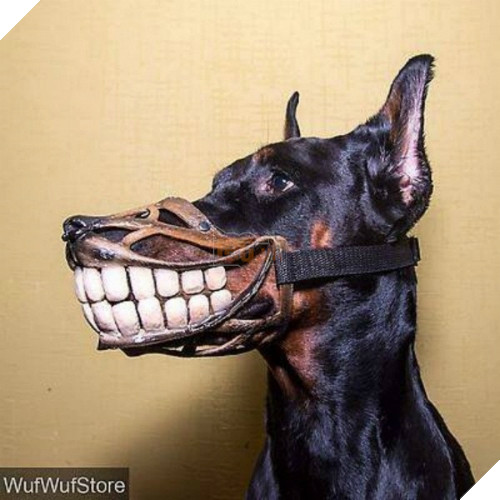 khong-nhin-duoc-cuoi-voi-nhung-kieu-ro-mom-cho-co-1-0-2-4