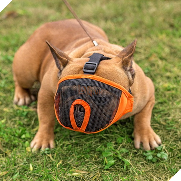 khong-nhin-duoc-cuoi-voi-nhung-kieu-ro-mom-cho-co-1-0-2-10