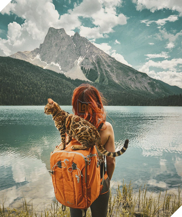 Gặp gỡ chú mèo xinh đẹp cùng cô chủ đi du lịch khắp thế gian - Ảnh 11.