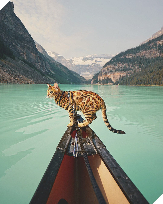 Gặp gỡ chú mèo xinh đẹp cùng cô chủ đi du lịch khắp thế gian - Ảnh 9.