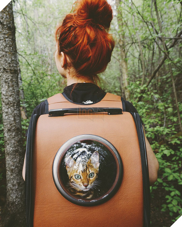 Gặp gỡ chú mèo xinh đẹp cùng cô chủ đi du lịch khắp thế gian - Ảnh 1.