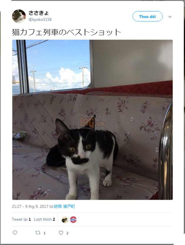 Quán cafe mèo trên tàu hỏa duy nhất chỉ có ở Nhật Bản