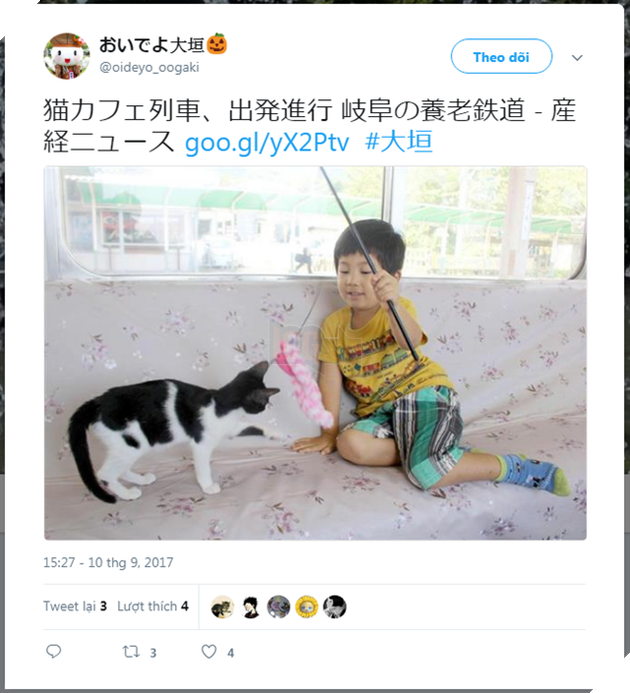 Quán cafe mèo trên tàu hỏa duy nhất chỉ có ở Nhật Bản