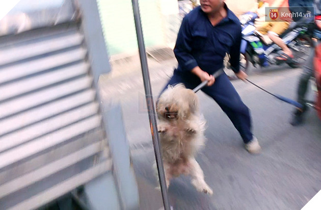 Xuất hiện th&#244;ng tin bịa đặt &quot;Xe bắt ch&#243; giả ở TP HCM&quot; khiến nhiều người hoang mang - Ảnh 6.