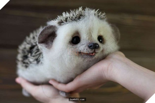 Chú nhím ‘lè lưỡi’ siêu đáng yêu, khi nhìn gần ai nấy đều dụi mắt kinh ngạc
