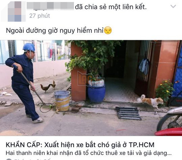 Xuất hiện thông tin bịa đặt Xe bắt chó giả ở TP HCM khiến nhiều người hoang mang - Ảnh 2.