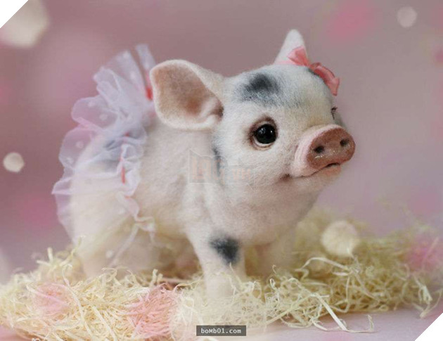 Chú nhím ‘lè lưỡi’ siêu đáng yêu, khi nhìn gần ai nấy đều dụi mắt kinh ngạc 3