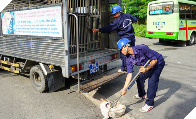 Xuất hiện th&#244;ng tin bịa đặt &quot;Xe bắt ch&#243; giả ở TP HCM&quot; khiến nhiều người hoang mang - Ảnh 6.