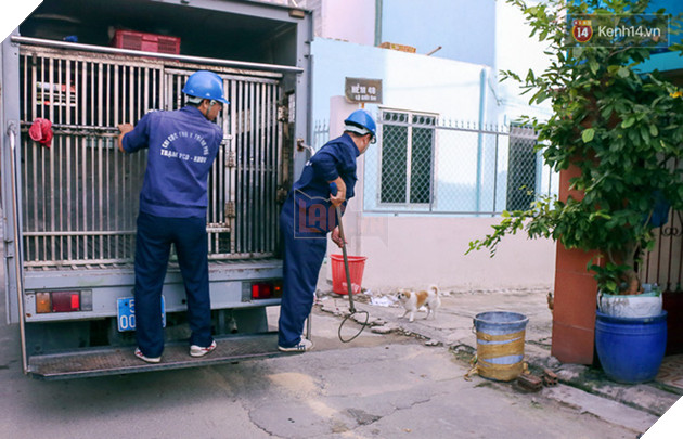 Xuất hiện th&#244;ng tin bịa đặt &quot;Xe bắt ch&#243; giả ở TP HCM&quot; khiến nhiều người hoang mang - Ảnh 6.