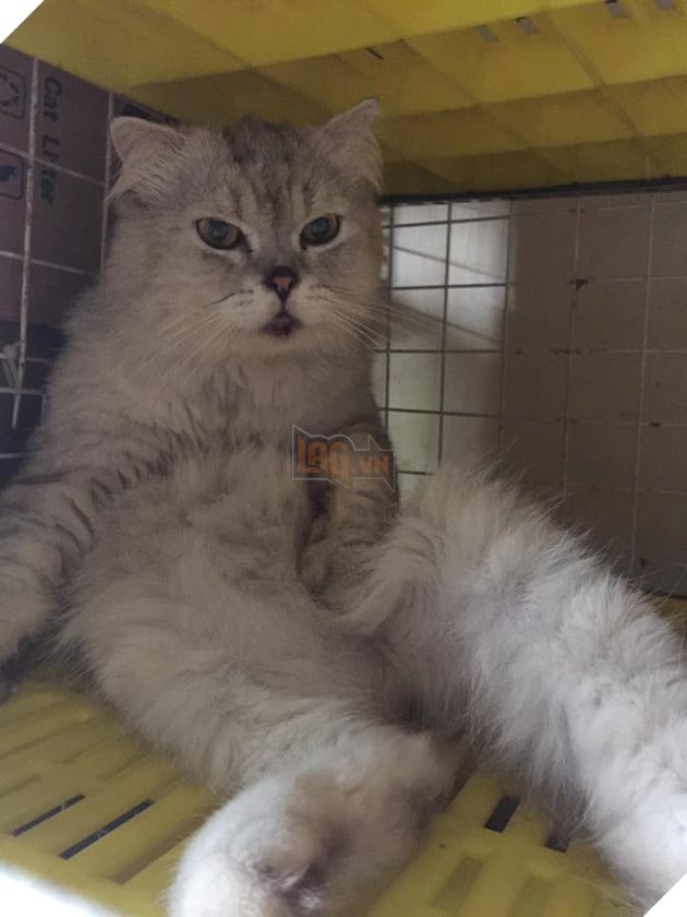 20106670_450614328645008_5625649540829353041_n