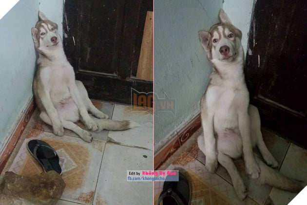 CHÙM ẢNH THỂ HIỆN NHỮNG QUẢ DÁNG ‘CHÁN CHẢ BUỒN CHẾT’ CỦA CÁC BOSS 3