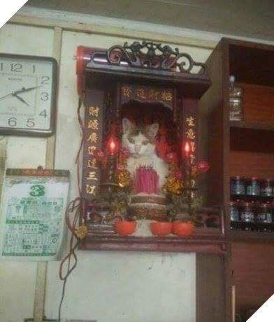 Chỗ nằm mới của các boss vừa cao vừa thoáng, nhìn mà choáng!