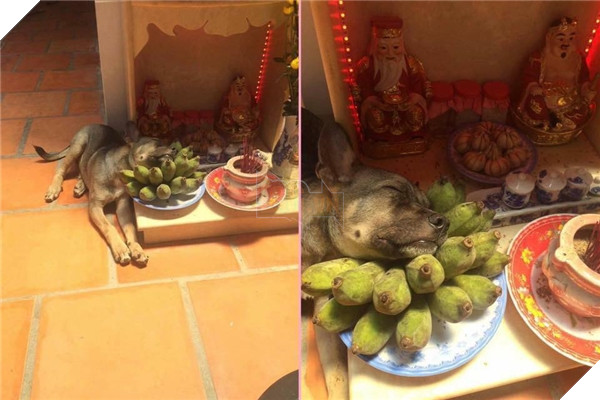 Chỗ nằm mới của các boss vừa cao vừa thoáng, nhìn mà choáng!