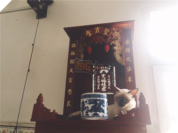 Chỗ nằm mới của các boss vừa cao vừa thoáng, nhìn mà choáng!