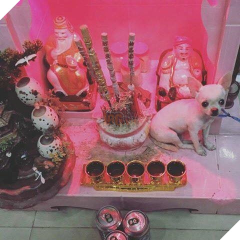 Chỗ nằm mới của các boss vừa cao vừa thoáng, nhìn mà choáng!