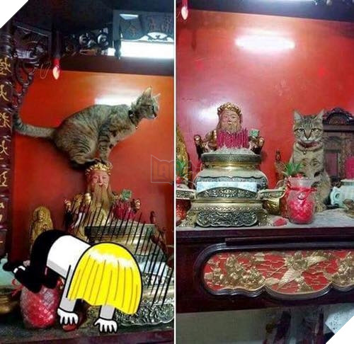 Chỗ nằm mới của các boss vừa cao vừa thoáng, nhìn mà choáng!