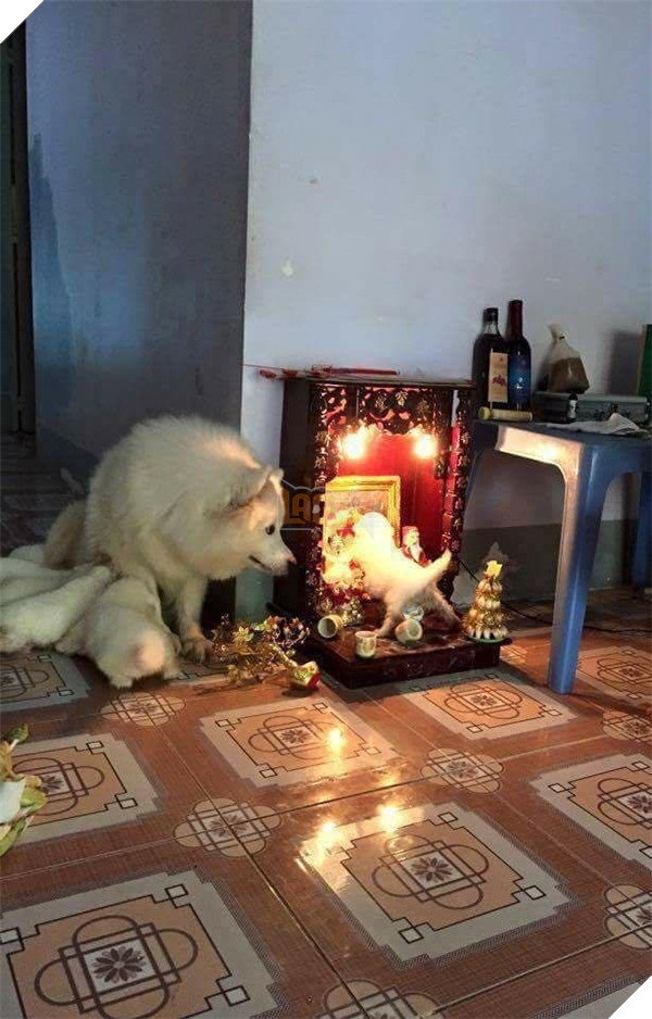 Chỗ nằm mới của các boss vừa cao vừa thoáng, nhìn mà choáng!