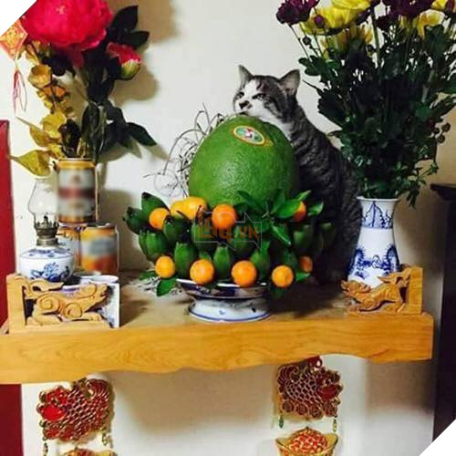 Chỗ nằm mới của các boss vừa cao vừa thoáng, nhìn mà choáng!