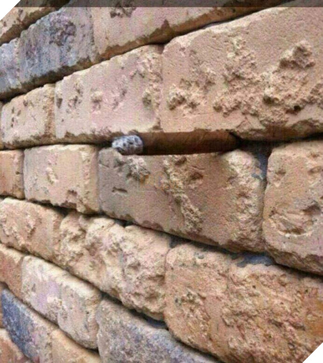 Sự thật về 10 bức ảnh gây tranh cãi trên mạng xã hội nhờ những hiệu ứng quang học