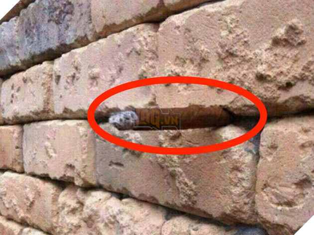 Sự thật về 10 bức ảnh gây tranh cãi trên mạng xã hội nhờ những hiệu ứng quang học