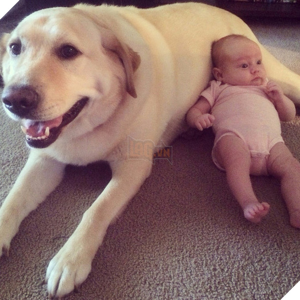 20 khoảnh khắc thân nhưng thân ai người ấy lo giữa trẻ con và các boss - Ảnh 1.