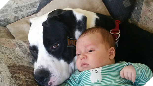 20 khoảnh khắc thân nhưng thân ai người ấy lo giữa trẻ con và các boss - Ảnh 3.